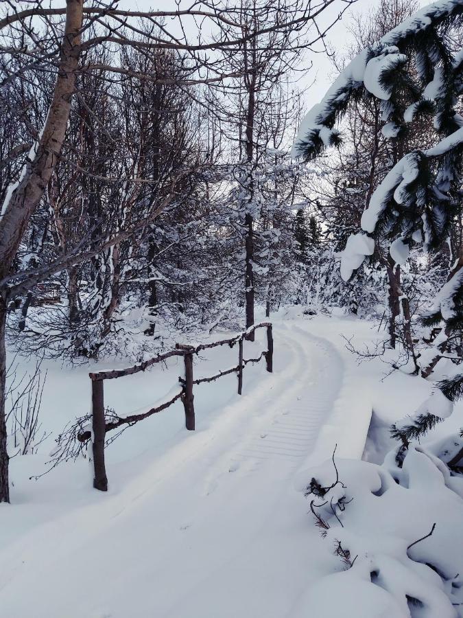 Bakkakot 2 - Cozy Cabins In The Woods Akureyri Exterior foto