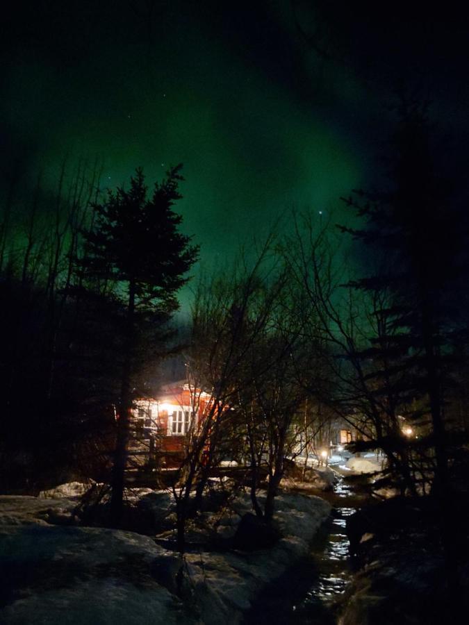 Bakkakot 2 - Cozy Cabins In The Woods Akureyri Exterior foto