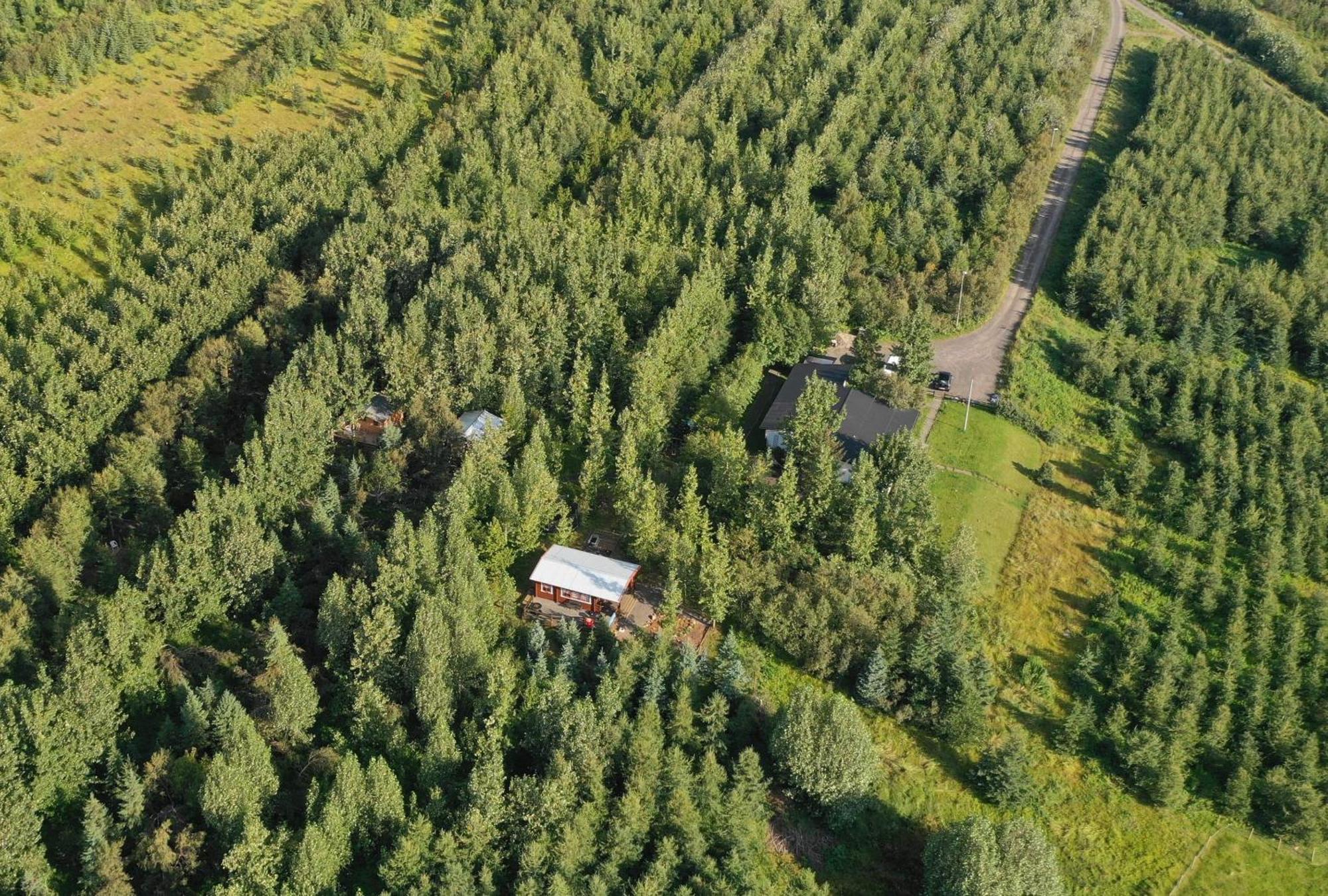 Bakkakot 2 - Cozy Cabins In The Woods Akureyri Exterior foto